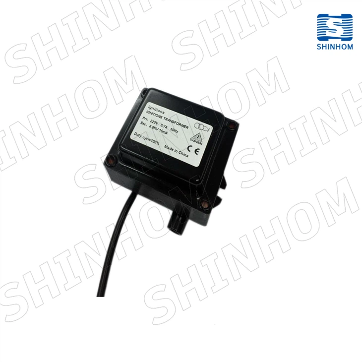 Ignition Transformer For Burners Unfinished